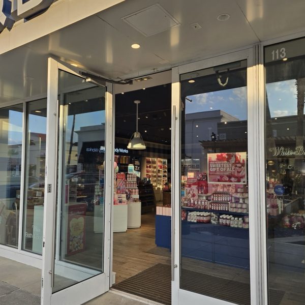 20250206_171839 Large