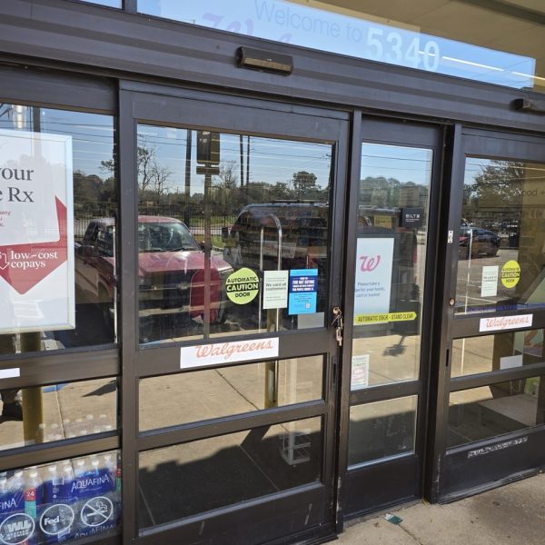 20250226_121318 Large